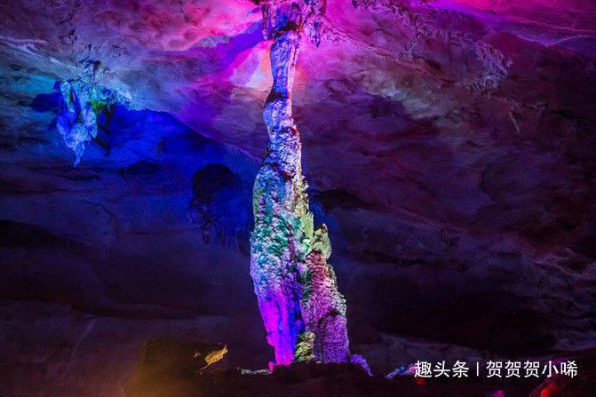 世纪之案