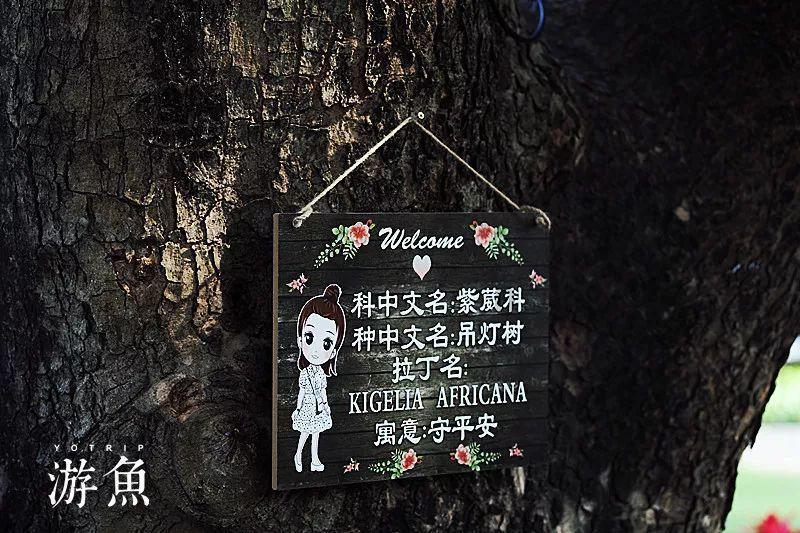 救援波塞冬
